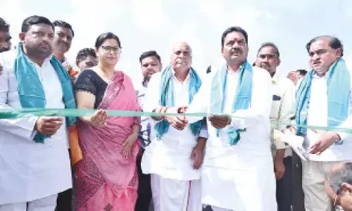 MLA urges officials for leniency regarding moisture levels in cotton