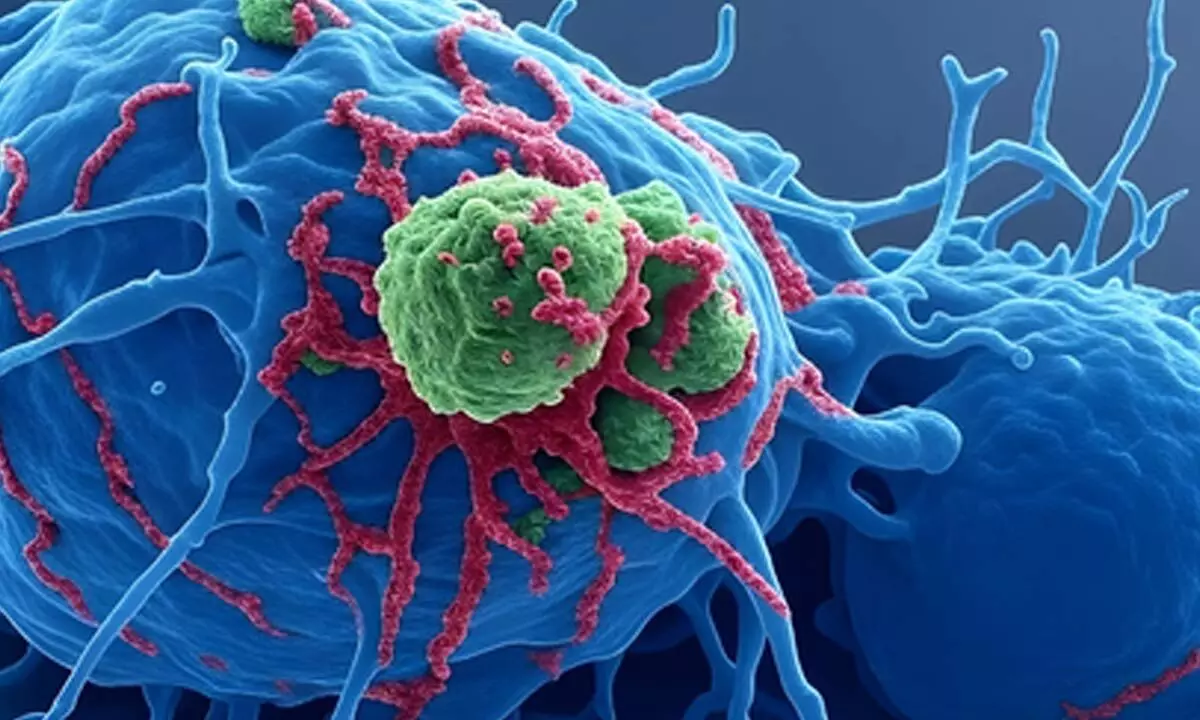 NexCAR19 cancer drug made gene therapies affordable, accessible with patient safety: Govt NexCAR19 cancer drug made gene therapies affordable, accessible with patient safety: Govt