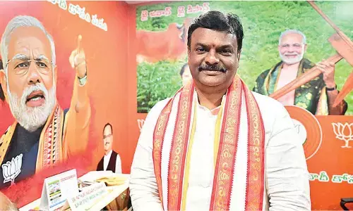 BJP to conduct statewide programmes