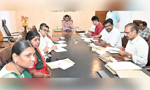 Clear pending land issues, complete projs on time: Collector