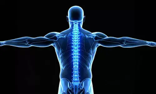 Japanese researchers successfully regenerate bone using stem cells