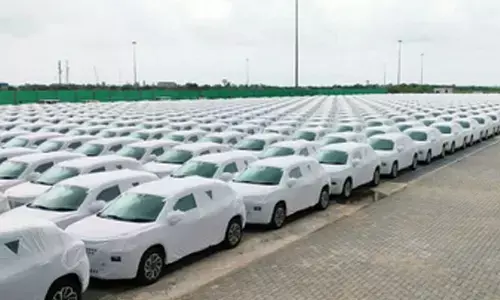 Maruti Suzuki crosses 3 crore domestic sales milestone in India