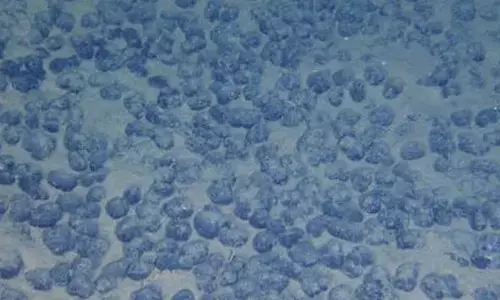 Manganese major MOIL clocks best-ever October production of 1.6 lakh tonnes