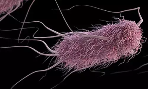 Antimicrobial peptides can curb Salmonella, E. coli and help combat AMR: Study