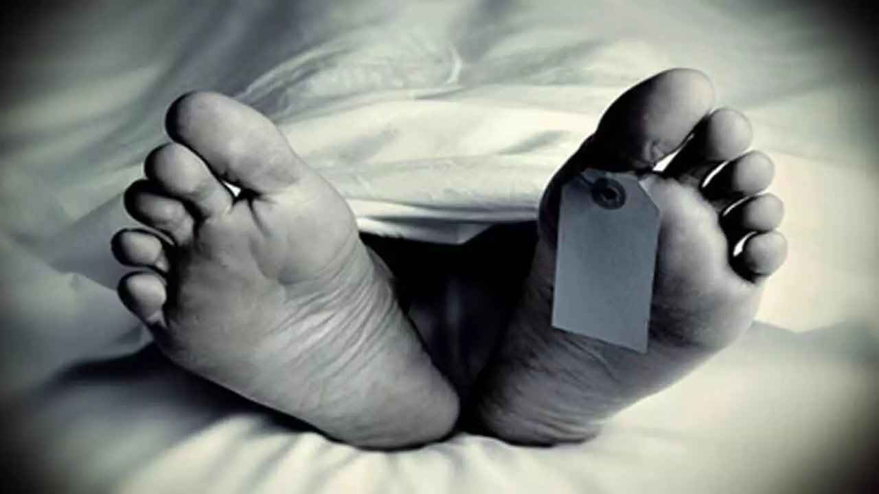 Man electrocuted while trying to save pet macaw Man electrocuted while trying to save pet macaw