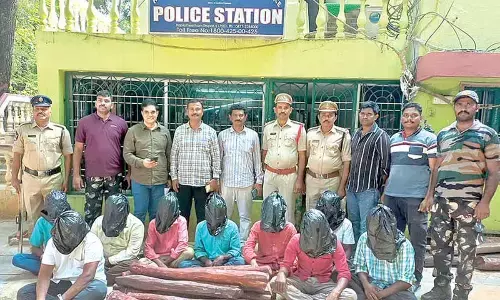 20 red sanders logs seized; 9 held