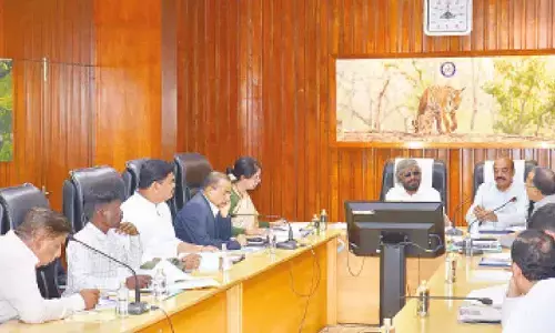 Attach radio collar to captured elephant and release into forest: Khandre