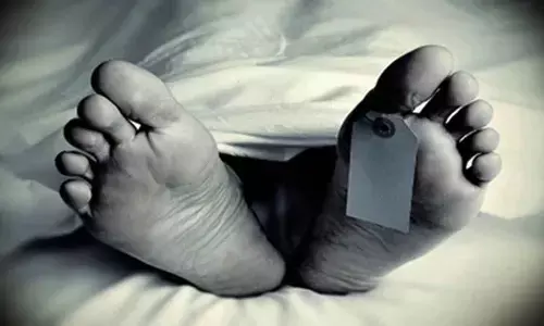 Man electrocuted while trying to save pet macaw Man electrocuted while trying to save pet macaw