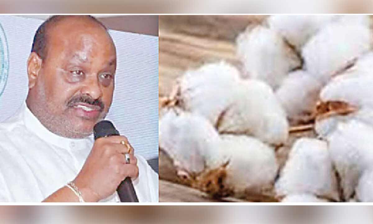 AP seeks Centre’s help for cyclone-hit cotton farmers