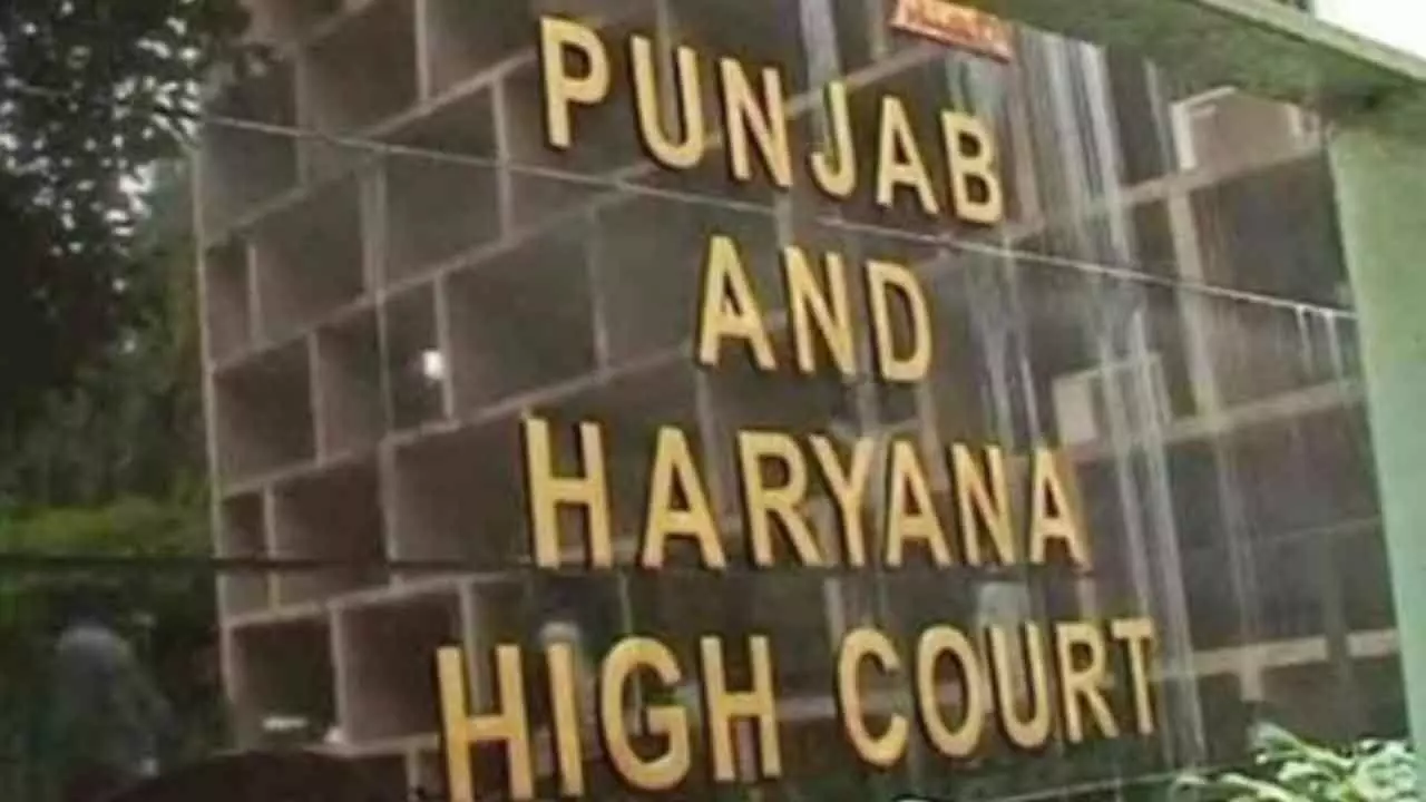 Punjab & Haryana HC grants bail to UAPA accused Punjab & Haryana HC grants bail to UAPA accused