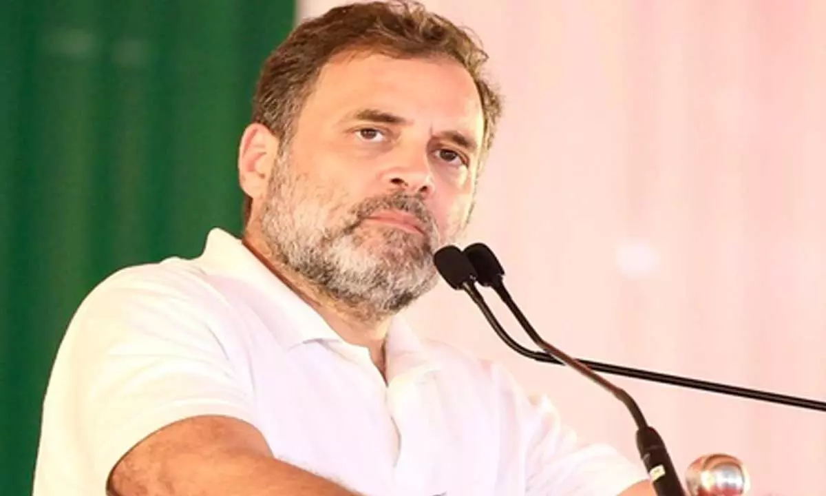Rahuls broken promise: Cobblers gift gathers dust as family demands aid amid Bihar poll push Rahuls broken promise: Cobblers gift gathers dust as family demands aid amid Bihar poll push