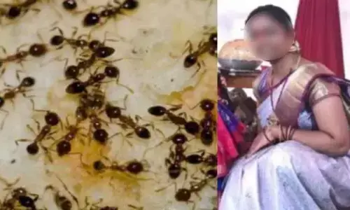 Tragedy in Hyderabad: Woman dies by Suicide citing rare phobia of ants in death note