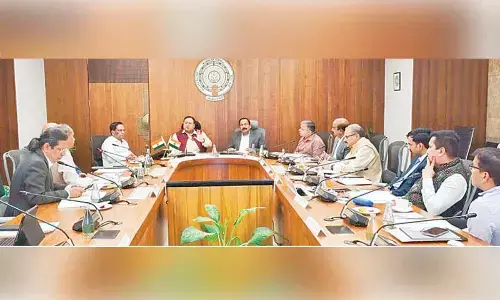 State aims green hydrogen leadership by 2030