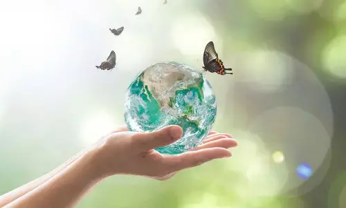 Green Campuses, Green Minds: How Sustainability is Becoming a Core Part of Education Infrastructure