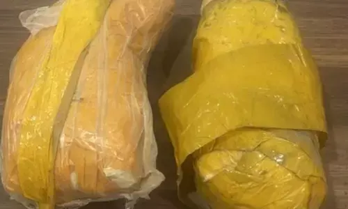 Haryana narcotics bureau intensifies action against drug traffickers