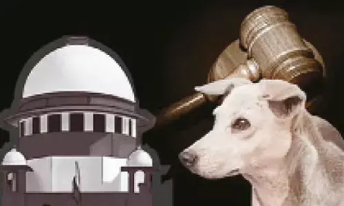Remove stray dogs from public spaces, schools, rly & bus stns: SC