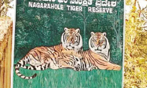 Nagarahole, Bandipur Safaris closed from today