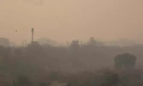 Smog chokes Delhi-NCR as AQI breaches 400 mark in several places