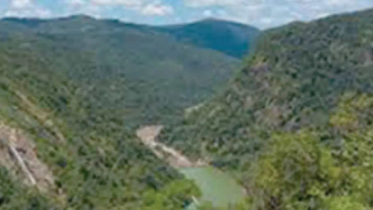 Centre puts Sharavathy project on hold Centre puts Sharavathy project on hold