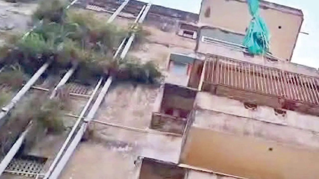 3 die as balcony falls on adjacent house, probe ordered 3 die as balcony falls on adjacent house, probe ordered