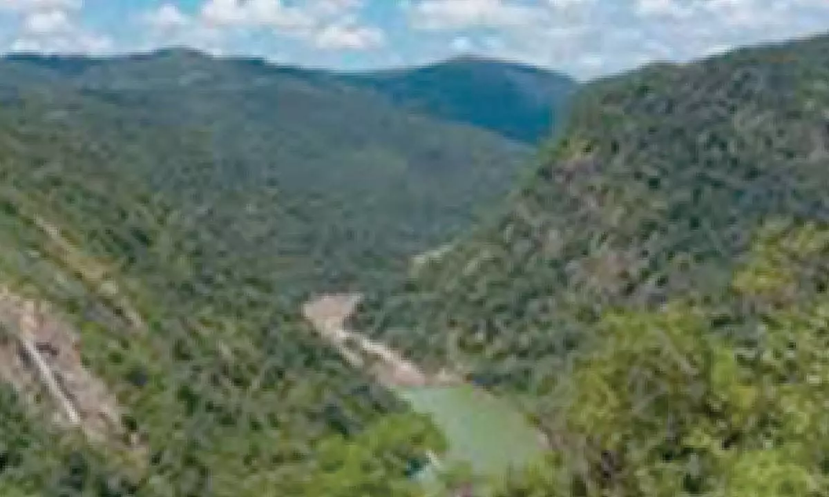 Centre puts Sharavathy project on hold