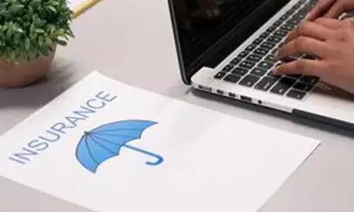 Protecting Every Loan with the Right Insurance