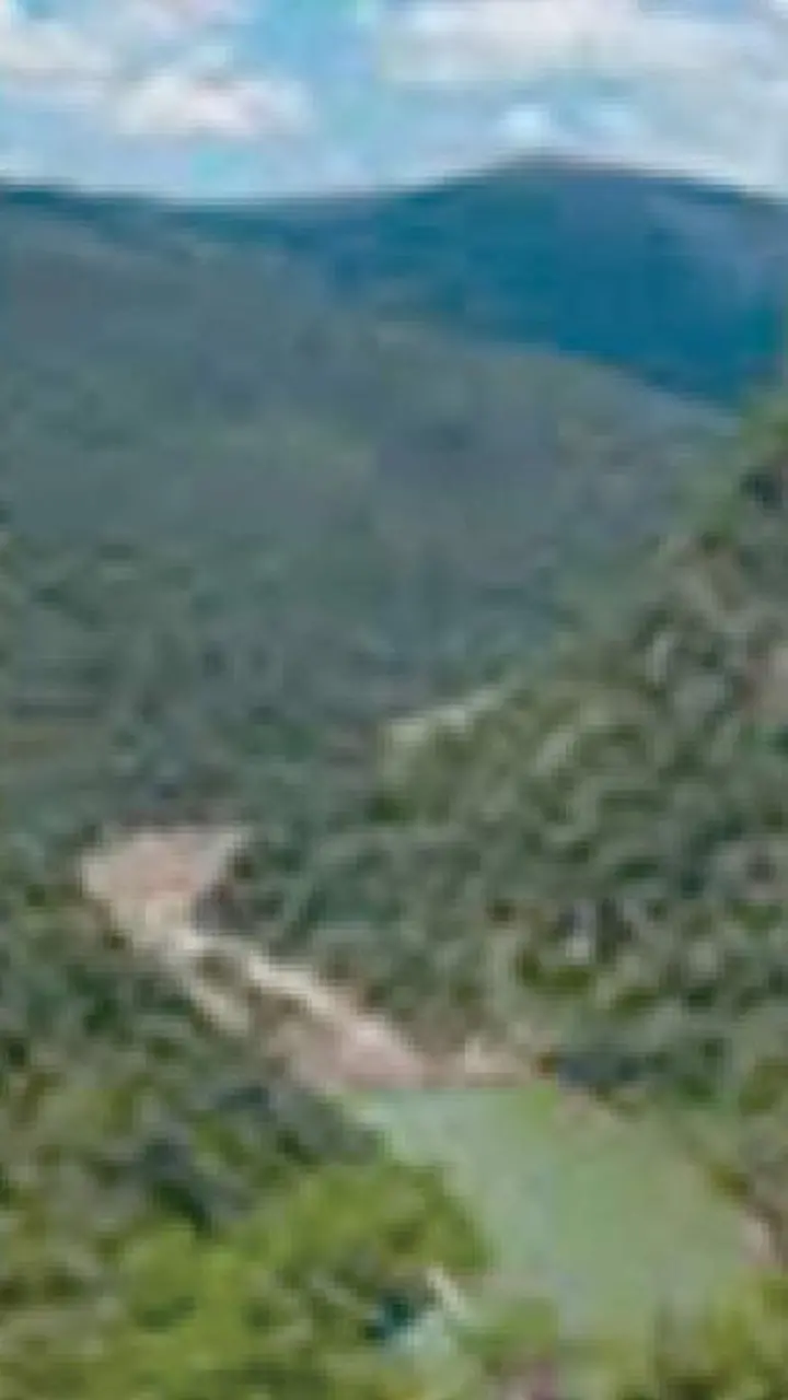 Centre puts Sharavathy project on hold Centre puts Sharavathy project on hold