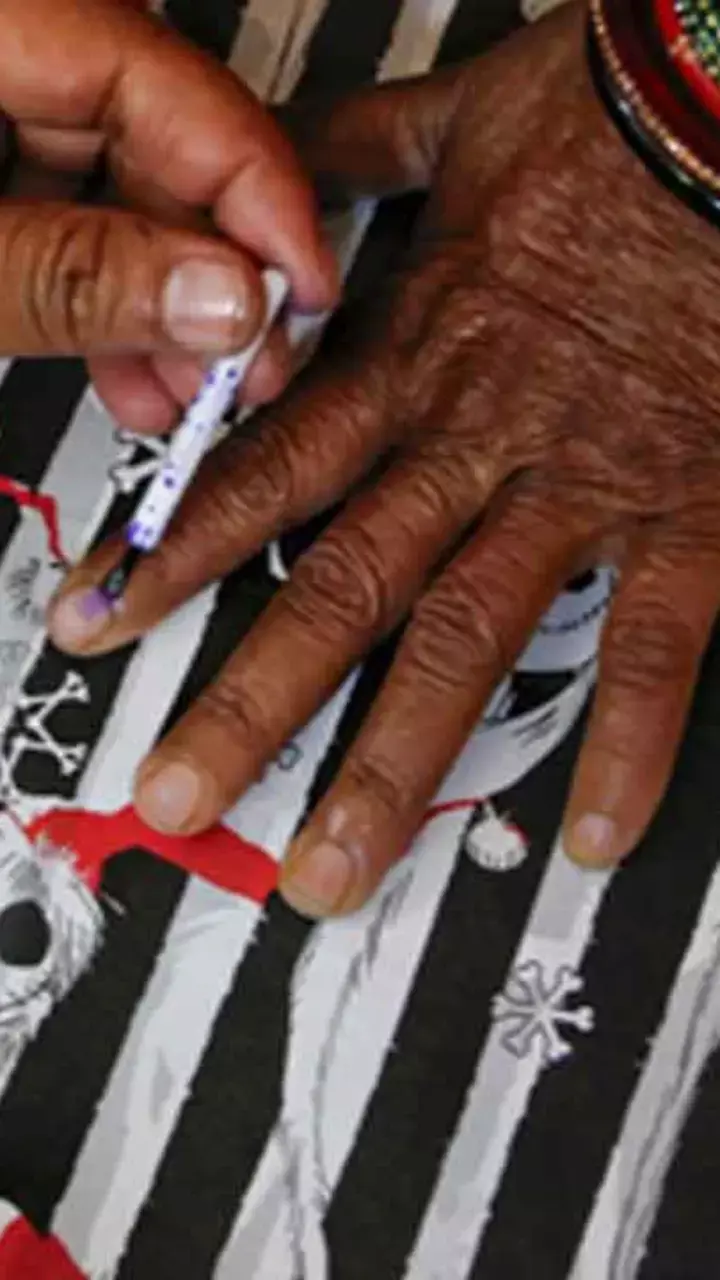 133 nominations filed for by-elections in 12 MCD wards on Nov 30 133 nominations filed for by-elections in 12 MCD wards on Nov 30