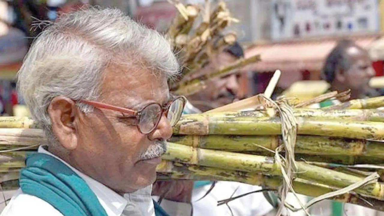 Karnataka raises cane price, farmers call off stir