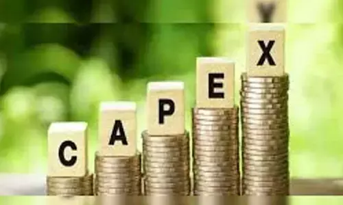 Rising pvt capex buoys medium-term growth