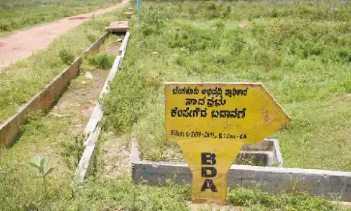 BDA not exempt from Real Estate Act: RERA