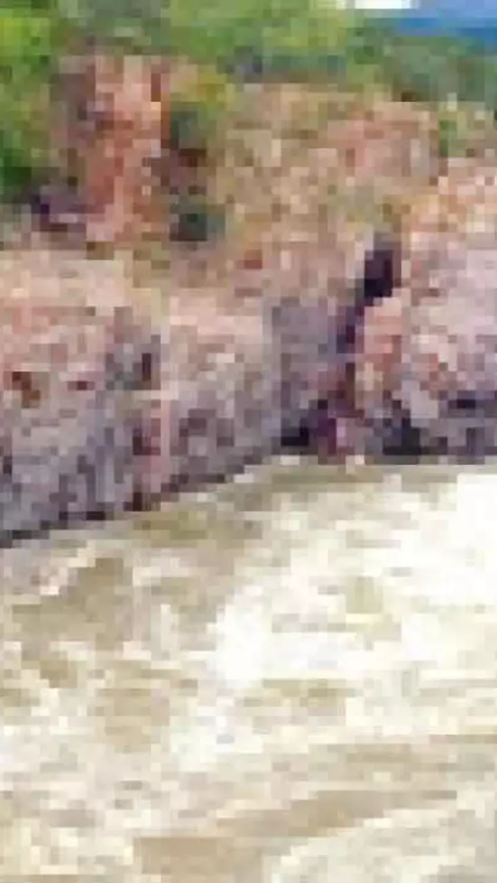 CM Siddaramaiah  renews push for Mekedatu reservoir