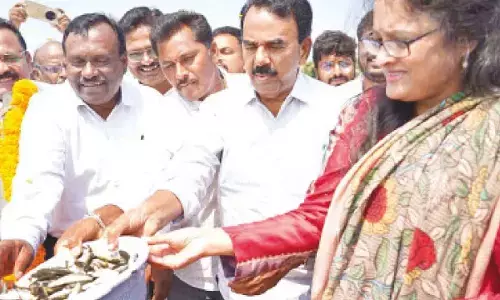 Jupally releases fish seedlings into Krishna backwaters