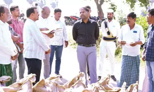 Expedite procurement of paddy: Collector tells officials