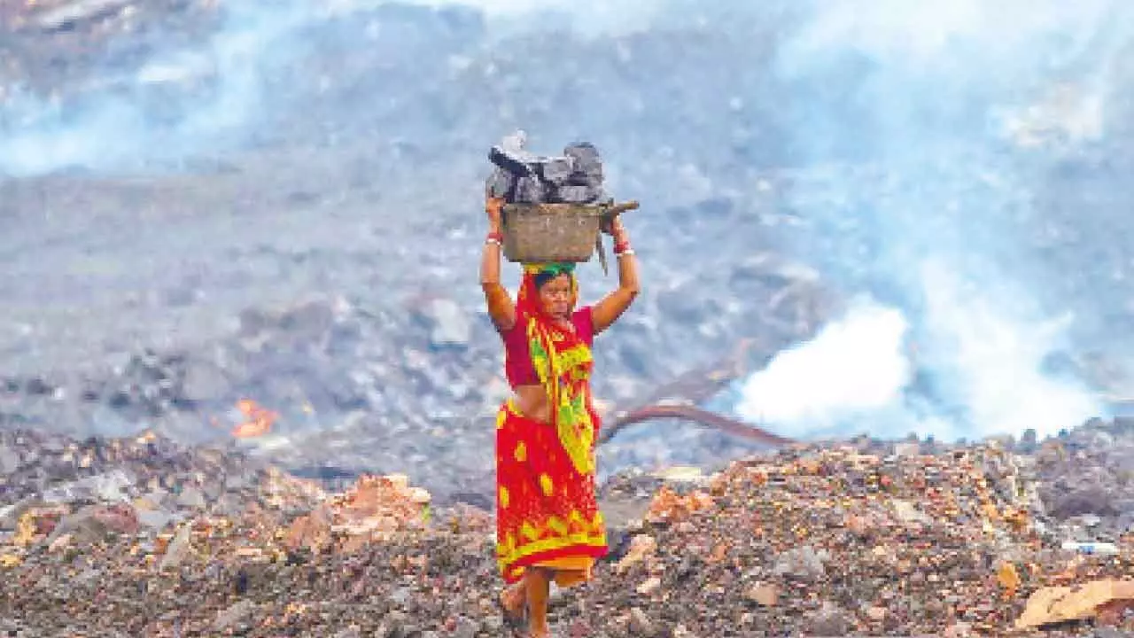 SC bans mining within 1 km radius of natl parks, wildlife SC bans mining within 1 km radius of natl parks, wildlife