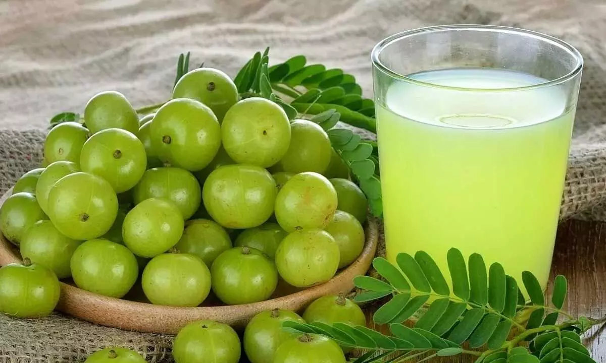 Amla Drinks That Strengthen Immunity and Support Weight Loss During Winter