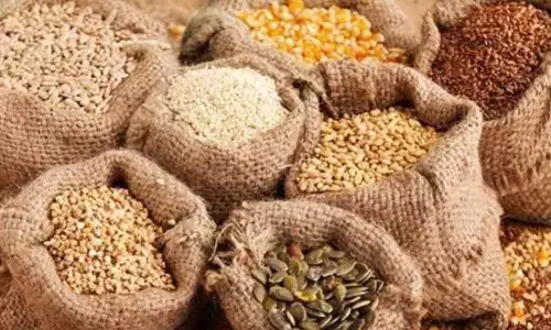 Draft Seeds Bill ready to curb sale of inferior seeds