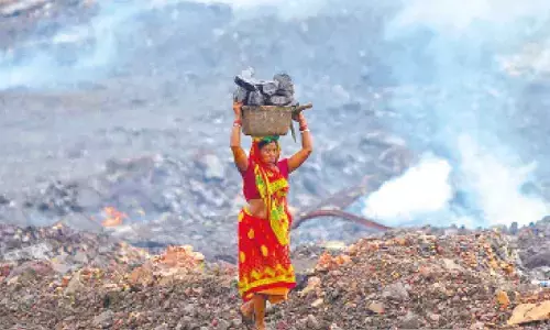 SC bans mining within 1 km radius of natl parks, wildlife