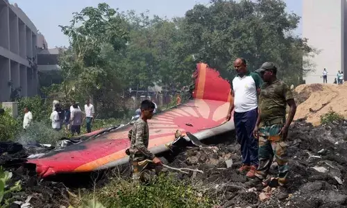 Pilot not being blamed for AI plane crash: Centre to SC