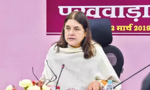 Maneka calls SC order on stray animals ‘impractical’