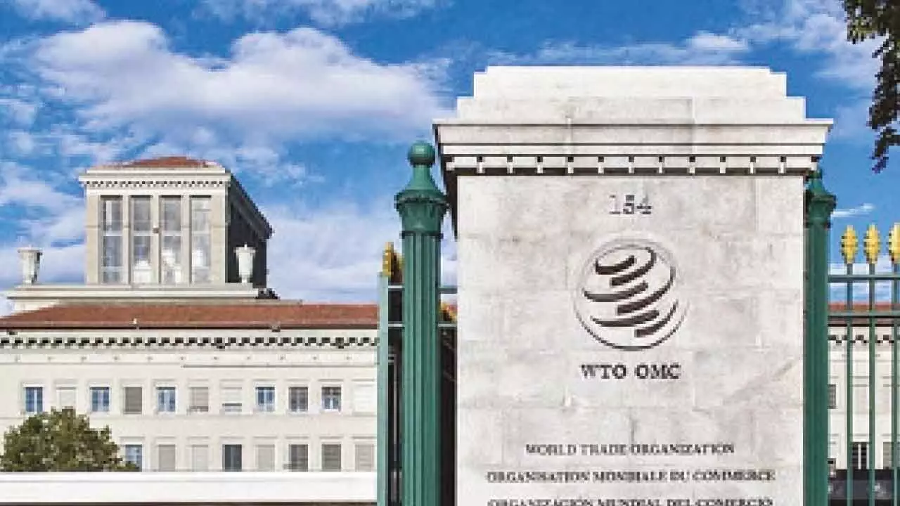 India should be a leader of reform process at WTO: Ngozi India should be a leader of reform process at WTO: Ngozi