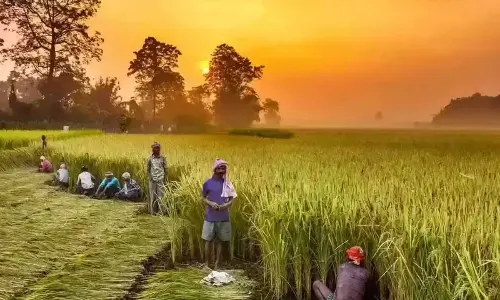 Agriculture credit outreach campaign held