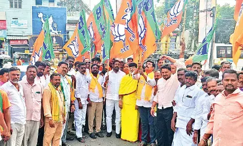 BJP celebrates NDA victory in Bihar polls