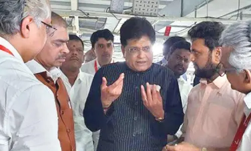 Piyush Goyal calls for reactivating bilateral mechanism
