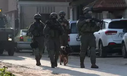 Israeli forces step up operations in southern Syria: Monitoring group