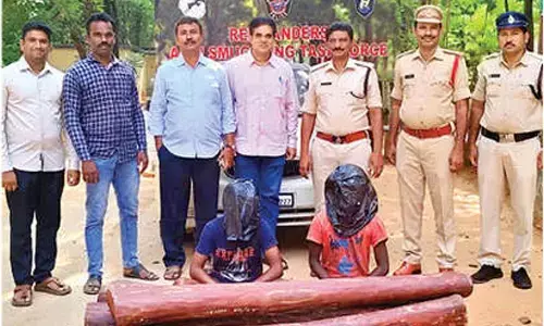 9 RS logs seized, 2 held