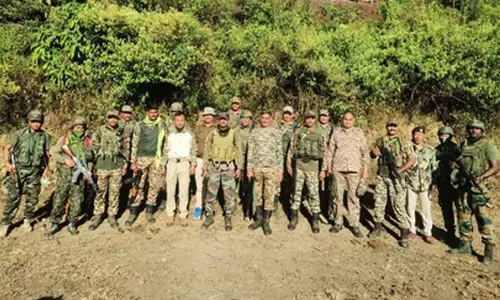 Illegal poppy farms destroyed in Manipur; joint operation foils large-scale production bid