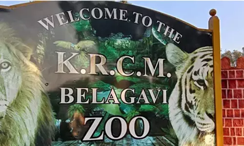 Ktaka blackbuck death toll rises to 29; initial probe points to bacterial infection