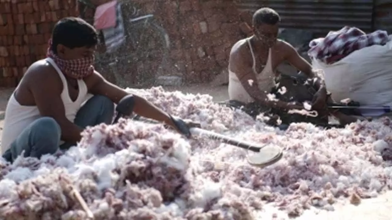 Rs 68 crore Kapas Kranti Mission boosting cotton farming, ushering digital transformation: Report Rs 68 crore Kapas Kranti Mission boosting cotton farming, ushering digital transformation: Report