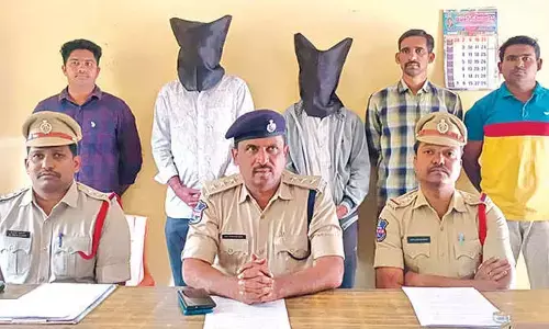 Two arrested in cyber fraud case